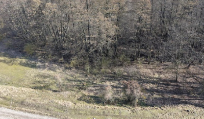 90 ceny oszacowania  okazja  II PRZETARG - Strychy  -
lubuskie Zdjęcie nr 12