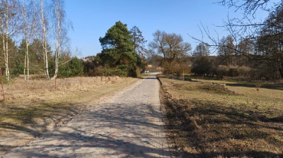 90 ceny oszacowania  okazja  II PRZETARG - Strychy  -
lubuskie Zdjęcie nr 13