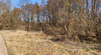 90 ceny oszacowania  okazja  II PRZETARG - Strychy  -
lubuskie Zdjęcie nr 15