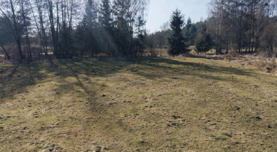 90 ceny oszacowania  okazja  II PRZETARG - Strychy  -
lubuskie Zdjęcie nr 5