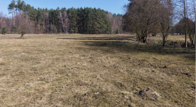 90 ceny oszacowania  okazja  II PRZETARG - Strychy  -
lubuskie Zdjęcie nr 6