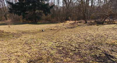 90 ceny oszacowania  okazja  II PRZETARG - Strychy  -
lubuskie Zdjęcie nr 7
