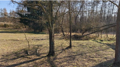 90 ceny oszacowania  okazja  II PRZETARG - Strychy  -
lubuskie Zdjęcie nr 8