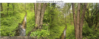 Syndyk sprzeda nieruchomość  okazja  I konkurs - Moskorzyn  -
dolnośląskie Zdjęcie nr 6