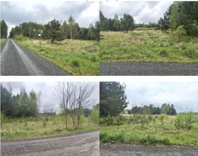 Działka rolna - Sobin  -
dolnośląskie Zdjęcie nr 4