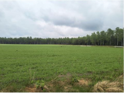 Działka rolna - Sobin  -
dolnośląskie Zdjęcie nr 6