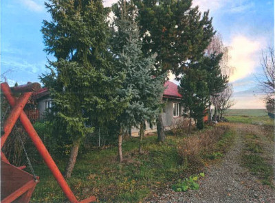 Udział 110 w siedlisku - Chmiel Pierwszy  -
lubelskie Zdjęcie nr 3