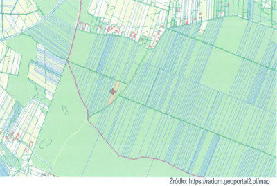 Syndyk sprzeda udział w działce w Lesie Skaryszewskim - Skaryszew  - mazowieckie