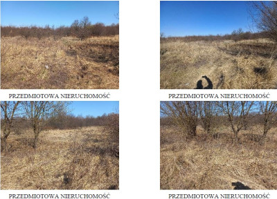 Syndyk sprzeda kompleks działek w tym jedną stanowiącą drogę dojazdową - Kraków  - małopolskie