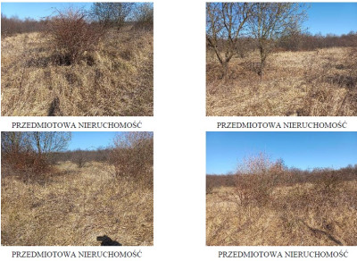 Syndyk sprzeda kompleks działek w tym jedną stanowiącą drogę dojazdową - Kraków  -
małopolskie Zdjęcie nr 2