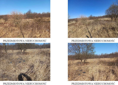 Syndyk sprzeda kompleks działek w tym jedną stanowiącą drogę dojazdową - Kraków  -
małopolskie Zdjęcie nr 3