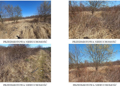 Syndyk sprzeda kompleks działek w tym jedną stanowiącą drogę dojazdową - Kraków  -
małopolskie Zdjęcie nr 4
