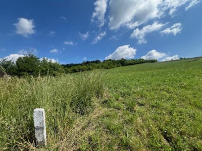 Syndyk sprzeda udział w działce - Okocim  -
małopolskie Zdjęcie nr 3