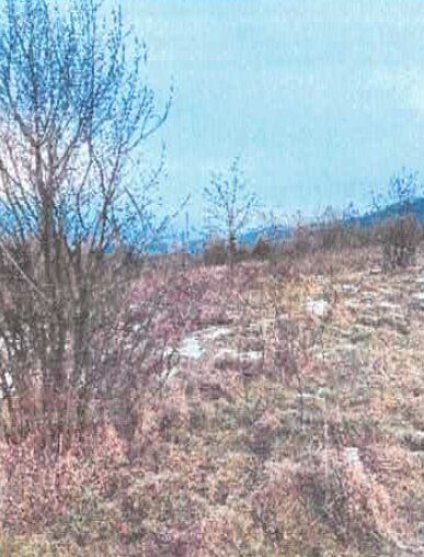 Udział 12 w działce rolnej - Gilowice  -
śląskie Zdjęcie nr 6