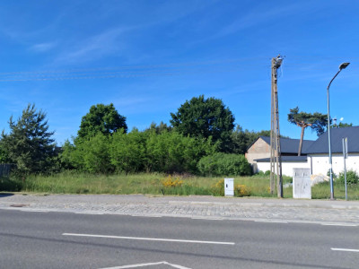 Syndyk sprzeda dwie działki rolne - Żłobnica  -
łódzkie Zdjęcie nr 3