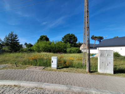 Syndyk sprzeda dwie działki rolne - Żłobnica  -
łódzkie Zdjęcie nr 5