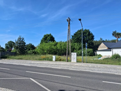 Syndyk sprzeda dwie działki rolne - Żłobnica  -
łódzkie Zdjęcie nr 6