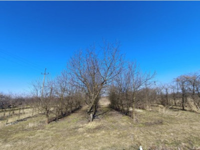 Syndyk sprzeda udział 12 w działce - Brzozowa  - lubelskie