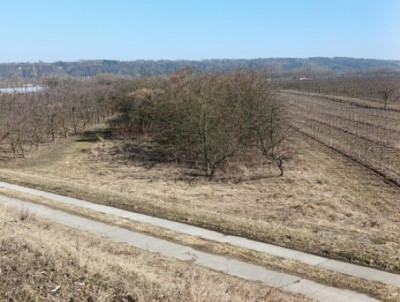Syndyk sprzeda udział 12 w działce - Brzozowa  -
lubelskie Zdjęcie nr 3