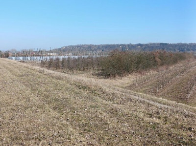 Syndyk sprzeda geodezyjnie wyodrębnione działki gruntu - Zastów Polanowski  -
lubelskie Zdjęcie nr 4