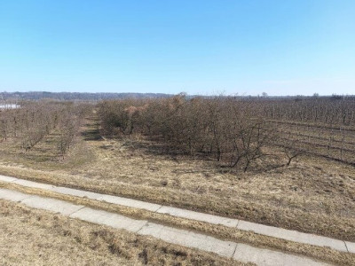 Syndyk sprzeda geodezyjnie wyodrębnione działki gruntu - Zastów Polanowski  -
lubelskie Zdjęcie nr 5