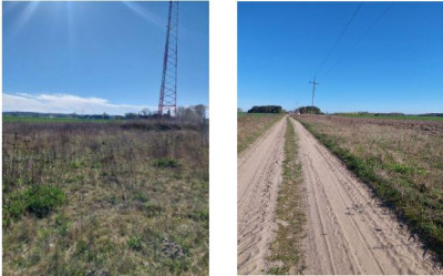 Syndyk sprzeda działkę rolną - Zakrzewo  -
wielkopolskie Zdjęcie nr 2