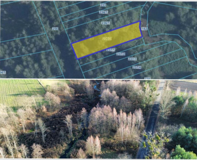 Syndyk sprzeda kompleks działek - Baranów  -
lubelskie Zdjęcie nr 9