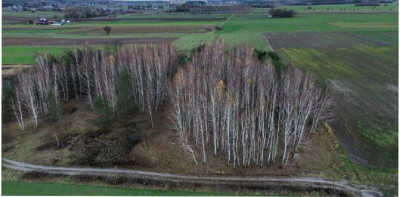 Syndyk sprzeda kompleks działek - Baranów  - lubelskie