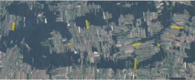 Syndyk sprzeda kompleks działek - Baranów  -
lubelskie Zdjęcie nr 2