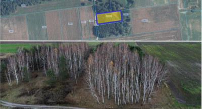 Syndyk sprzeda kompleks działek - Baranów  -
lubelskie Zdjęcie nr 7