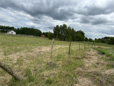 Syndyk sprzeda 13 udziału w działce rolnej - Morzyczyn  -
zachodniopomorskie Zdjęcie nr 3
