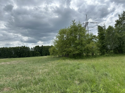 Syndyk sprzeda 13 udziału w działce rolnej - Morzyczyn  -
zachodniopomorskie Zdjęcie nr 4