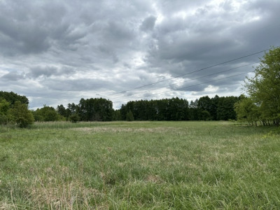 Syndyk sprzeda 13 udziału w działce rolnej - Morzyczyn  -
zachodniopomorskie Zdjęcie nr 5
