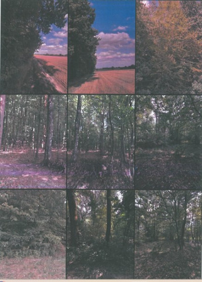 Syndyk sprzeda udział w kompleksie działek - Stolnikowizna  -
lubelskie Zdjęcie nr 4