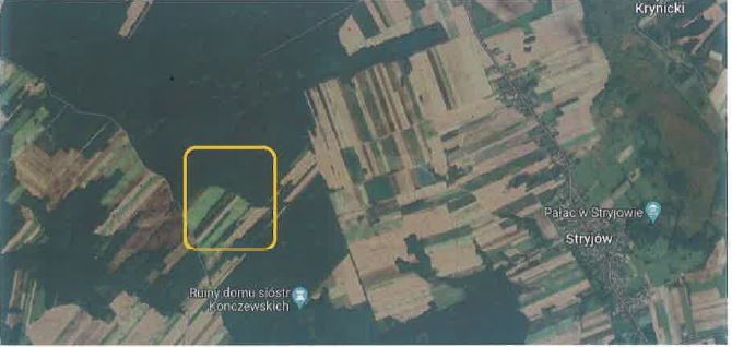 Syndyk sprzeda działki -  Stryjów  -
lubelskie Zdjęcie nr 1