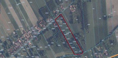 Kompleks kilkunastu działek o pow. łącznej ok. 2,34ha w tym 13 działek budowlanych – ŚWIETNE MIEJSCE NA POSIADŁOŚĆ, NA INWESTYCJĘ LUB DLA DEWELOPERA POD KAMERALNE OSIEDLE DOMÓW JEDNORODZINNYCH - Wielkopolskie