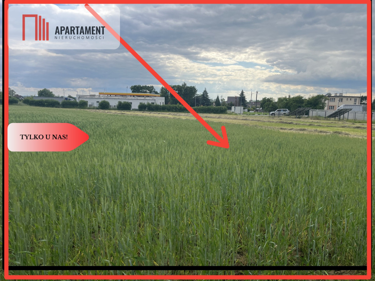 Atrakcyjna działka Przygodzice - powiat ostrowski  -
Wielkopolskie Zdjęcie nr 1