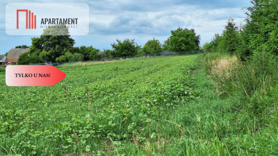 Działka dla miłośników spokoju i natury Garczyn - powiat kościerski  -
Pomorskie Zdjęcie nr 8