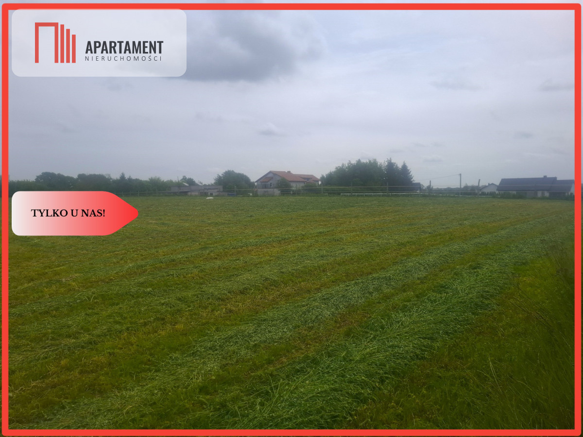 TYLKO U NAS  ATRAKCYJNA BLISKO CHEŁMNA - powiat chełmiński  -
Kujawsko-Pomorskie Zdjęcie nr 1