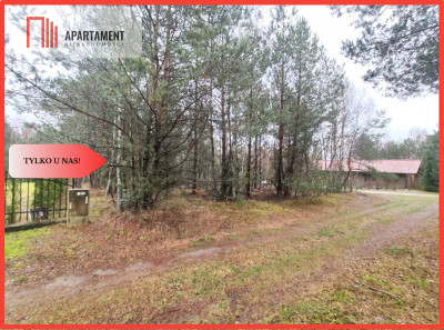 Tylko u Nas Działki nad jeziorem - powiat szczecinecki  -
Zachodniopomorskie Zdjęcie nr 4