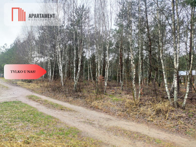 Tylko u Nas Działki nad jeziorem - powiat szczecinecki  -
Zachodniopomorskie Zdjęcie nr 5