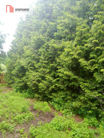Na sprzedaż działka ROD PRĄDY - Bydgoszcz  -
Kujawsko-Pomorskie Zdjęcie nr 12