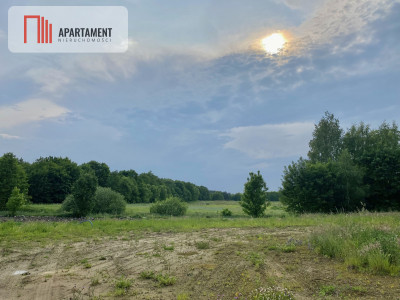 Urokliwa działka blisko natury - 30min od Gdańska - powiat gdański  - Pomorskie