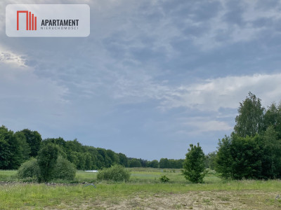 Urokliwa działka blisko natury - 30min od Gdańska - powiat gdański  -
Pomorskie Zdjęcie nr 2