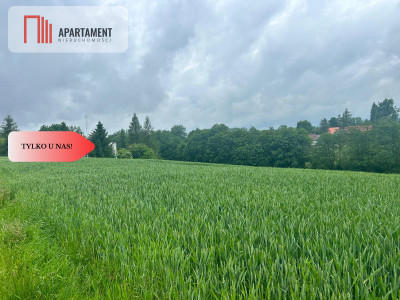 Działka z warunkami zabudowy Koniecwałd - powiat sztumski  -
Pomorskie Zdjęcie nr 4