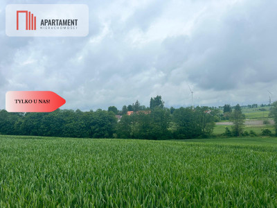 Działka z warunkami zabudowy Koniecwałd - powiat sztumski  -
Pomorskie Zdjęcie nr 5