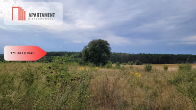 Tylko u nas Świetna lokalizacja cisza - powiat bydgoski  -
Kujawsko-Pomorskie Zdjęcie nr 4