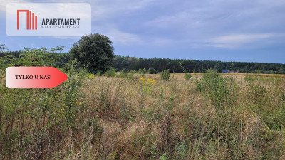 Tylko u nas Świetna lokalizacja cisza - powiat bydgoski  -
Kujawsko-Pomorskie Zdjęcie nr 5