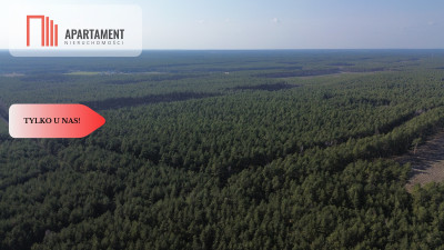 Działka rekreacyjno - turystyczna 7900 m2 - powiat starogardzki  -
Pomorskie Zdjęcie nr 3