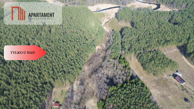 Działka rekreacyjno - turystyczna 7900 m2 - powiat starogardzki  -
Pomorskie Zdjęcie nr 4